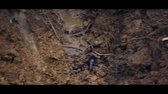 Clarksons Farm S01E04 WEBRip x264 ION10 mp4