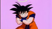 Dragon Ball Z   S01 E019   Defying Gravity (1080p BluRay   QUAD Audio) mkv