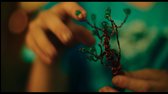 Summer Rebels 2020 Repack 1080p WEB DL DD5 1 x264 SK TreZzoR mkv