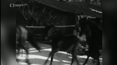 Taxis na nultém kilometru (1970) mkv