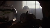 E T    Mimozemšťan (E T    The Extra Terrestrial, 1982) mkv