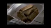 CSI Las Vegas s02e12 mp4