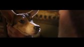 Gump  pes který naučil lidi žít-Rodinny-2021-CZ mkv