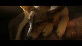 Gump - pes  který naučil lidi žít  HD (2021) avi