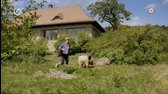 01x01 Tri želania mkv