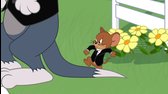 The Tom and Jerry Show S02E48 Unhappily Harried After mkv