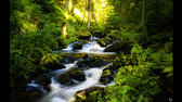 black forest tropical forest waterfall long exposure 3840x2400 6088 jpg