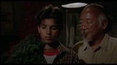 Karate Kid (1984) - HD - CZ DABING 2 0 - PLAYFILM TO mp4