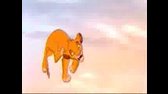 The Lion King, Beginning of the Adventure   Narnia music flv