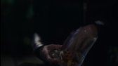 peacemaker 2022 s01e03 web xvid avi