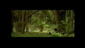The Music of Narnia in The Lord of the Rings   Part 1 flv