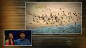 survivor s35e15 x265 mp4