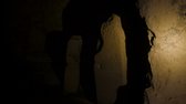 Ancient Apocalypse 2022 S01E03 1080p NF WEB DL DDP5 1 x264 NPMS mkv