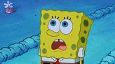 Spongebob S09E07 Safe Deposit Krabs   Planktons Pet 480p WEB DL AAC2 0 H 264 YFN by UgarE mkv