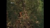 Tarzan E33   Tarzan and the Broken Promise (CZ) (TVRip edit video) mp4