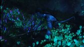 4K Avatar  2160p  5 1 CZE cze forced  mkv