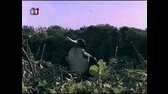 Ptačí svět   Starosti okolo vajíček, dok , avi
