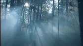 Ospalá díra   1x10  Golem avi