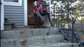 [TED Talks CZ] Marc Raibert  Spot  pes robot  který může běžet skákat a otevírat dveře mp4