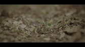Clarksonova farma s01 e06   Škvaření mkv