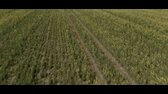 Clarksonova farma s01 e05   Pandemická panika mkv