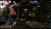 Most do zeme Terabithia-Bridge to Terabithia(2007) 1080p CZ Vykonavatel mkv