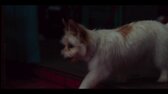 Dívka v masce, Mask Girl S01E04   Kim Čun je (2023) Seriál, Thriller, Czech Dabing, 1080p mkv