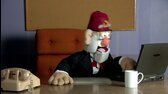 Grunkle Stans Lost Mystery Shack Interview   Kelli Berglund from Lab Rats mkv