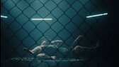 Tělo v ohni S01E06   Nemožné, El cuerpo en llamas (2023) Seriál, Thriller, Krimi, Czech Dabing, 1080p mkv
