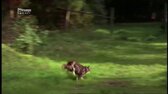 Inga Lindstrom s02e03 Osudové setkání (2005   Bettina Zimmermann, Rainer Grenkowitz) mp4