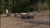 Farma S07E31 53 2016 SK dab FLV