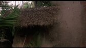 Predátor ( Predator 1987 REMASTERED ) CZ mkv