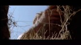 Tanec s vlky (Kevin Costner, Mary McDonnell 1990 Dobrodružný Drama Western 1080p ) Cz dabing cz forced avi