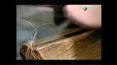 Bořiči mýtů S04E02 MythBusters S04E02 mkv