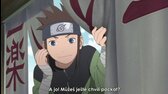 Naruto Shippuden (2007)   S22E37   495   Hidden Leaf Story The Perfect Day for a Wedding Part 2 A Full Powered Wedding Gift [HDTV 720p][8bit][x264][AAC 2 0] CNT mkv