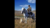 Shepherd with his horse and dog on Gravelly Range, Madison County, Montana  August 1942 jpg