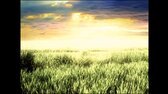 Best of Trance   Golden Age Mix mp4