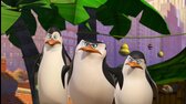Tučňáci z Madagaskaru S02E02 Bumbác, no tě pic; Hele, helma  mp4