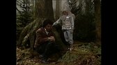 Chladné srdce 1996 mkv