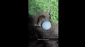 Instant Regret Compilation (Episode 171)   Fails Compilation 2 (2) mp4