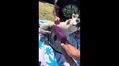 Instant Regret Compilation (Episode 171)   Fails Compilation 2 mp4