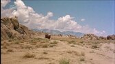 Muž z Arizony (Randolph Scott Richard Boone-1957 Dobrodružný-Western-FullHD) Cz dabing mp4