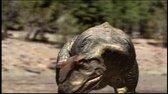 Dinosauři   Balada o Alosaurovi avi