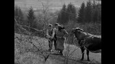 Keby som mal pušku (1971) mp4
