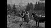 Keby som mal pušku 1971 DVDRemux RUS SLO & En Sk Es Fr Pob Zh sub mkv