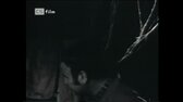 Zivot Na Uteku (1975) Czdab mp4
