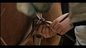 Yellowstone S04E05 Under a Blanket of Red CZ dab mkv