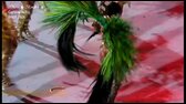 The Best Dancers Carnival Rio 1 6 2024 HD WR westmen214 Brazil Most Beautiful Samba Parade Muse Girls POR mp4