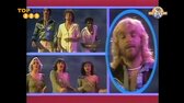 The Surfers   Winsurfin' (1080) mp4