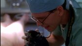 NCIS 03x20 DVDrip CZ Nedotknutelný (Untouchable) avi